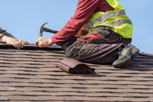 Best New Roof Installation  in Zeeland, MI