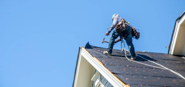 Best Storm Damage Roof Repair  in Zeeland, MI